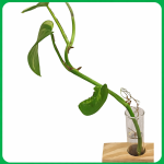 ChatGPT Image Feb 25, 2026, 06_00_20 PM