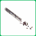 ChatGPT Image Feb 25, 2026, 06_00_20 PM