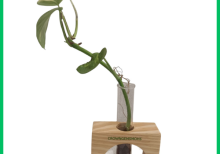 luxury Amethyst Rock Plant Gems Stone