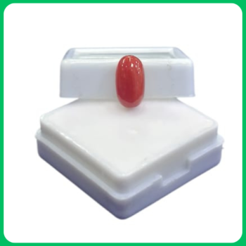 Natural Classy Red Coral Unique Shape ST 2.75 CT (IOP)