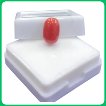 Natural Classy Red Coral Unique Shape IP 3.55 CT (GHT)