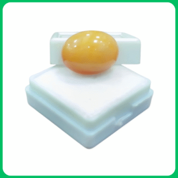 Natural Classy Yellow Fire Opal Cushion Shape LI 9.75 CT (GFC)