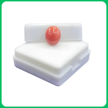 Natural Classy Red Coral ST 2.75 CT (ITL)