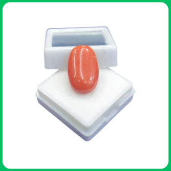 Natural Classy Red Coral Unique Shape IP 7.50 CT (JKT)