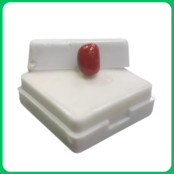 Natural Classy Red Coral Unique Shape GT 3.00 CT (HJL)