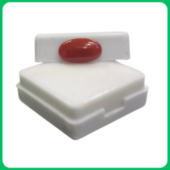 Natural Classy Red Coral Unique Shape MN 2.20 CT (MGT)