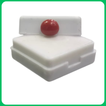 Natural Classy Red Coral Unique Shape GT 2.45 CT (PJL)