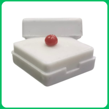 Natural Classy Red Coral Unique Shape 1.00 CT (FDL)