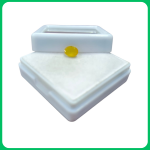 Natural Classy Yellow Sapphire WE 1.30 CT (SLP)