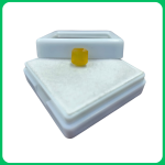 Natural Glossy Yellow Sapphire Square Cut 3.55 CT (UJT)