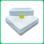 Luxury Yellow Sapphire Cushion shape 1.50 CT (FET)