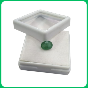 Natural Emerald Gems Glossy Clear Cut Oval 6.00CT (ABS)