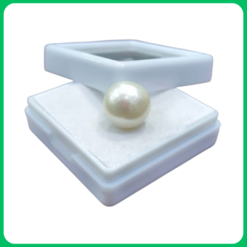 Cultured South Sea Pearl ZR 10.00CT (SKS)