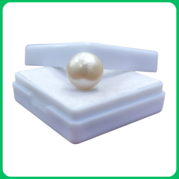 Cultured South Sea Pearl ZR 12.00CT (MMS)