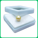 Golden South Sea Pearl AS 11.00CT (SMS)