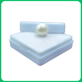 Cultured South Sea Pearl AK 9.00CT (PMA)