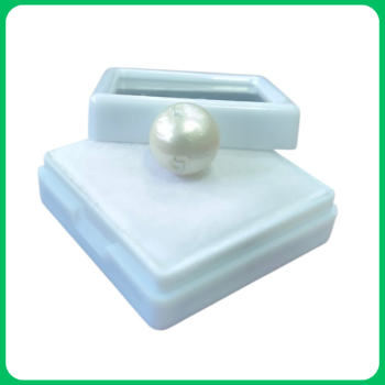 Cultured South Sea Pearl WE 17.00CT (MMA)