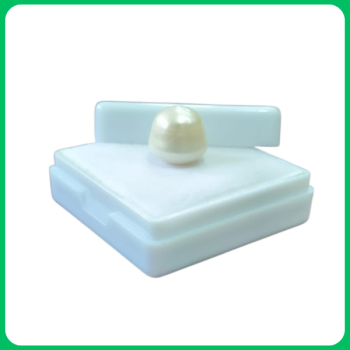 Cultured South Sea Pearl BE 12.00CT (MLA)