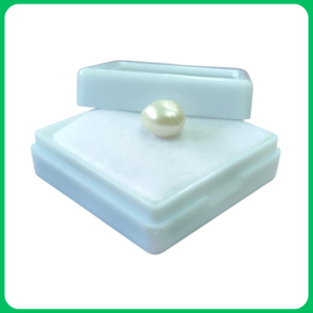 Cultured South Sea Pearl PM 14.00CT (MSA)