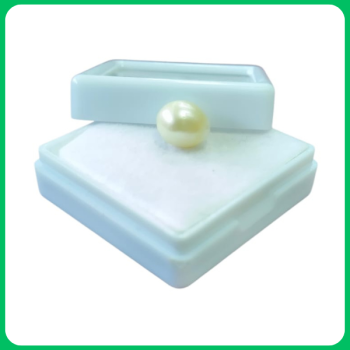 Natural South Sea Pearl AV 9.00CT (MPL)