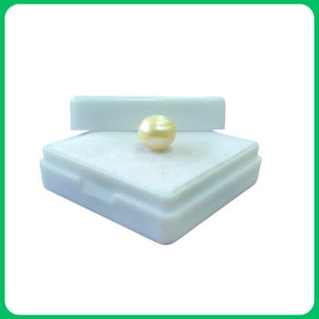 Golden South Sea Pearl Unique Piece AQ 11.00CT (SAS)