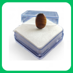 Natural Tiger Eye 6.30 Ct Oval Shape