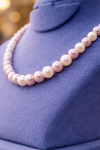 Elegant Dual Color Pearl Necklace – White & Soft Pink Natural Pearl Necklace for Women 💎